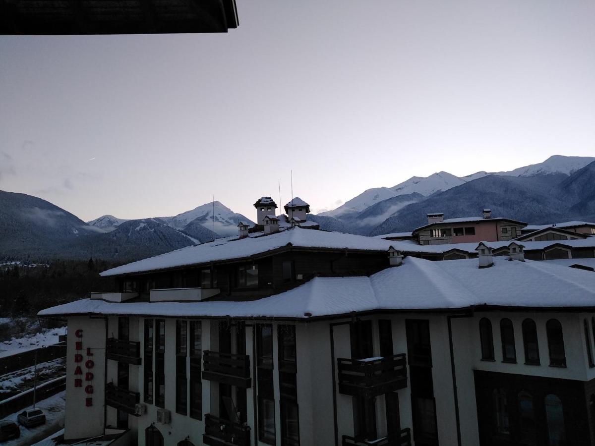 Bansko Royal Towers - Studio 153 מראה חיצוני תמונה
